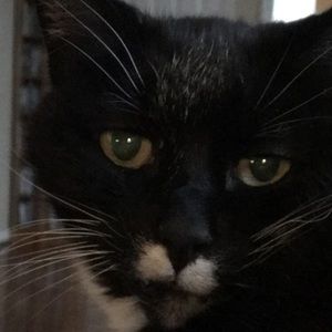 Meet your Posher, Carly